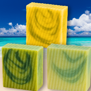 Paquete Frescura / Freshness Set